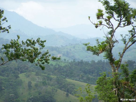 Nueva Segovia