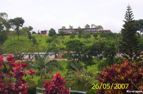 N.S