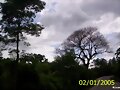 N.S