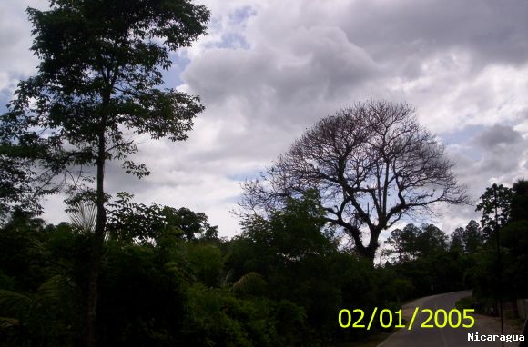 N.S