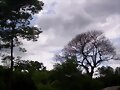 Panorama natural Nueva Segovia