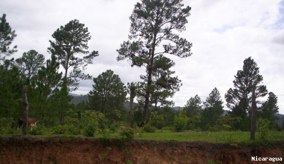 Tierras de las Segovias