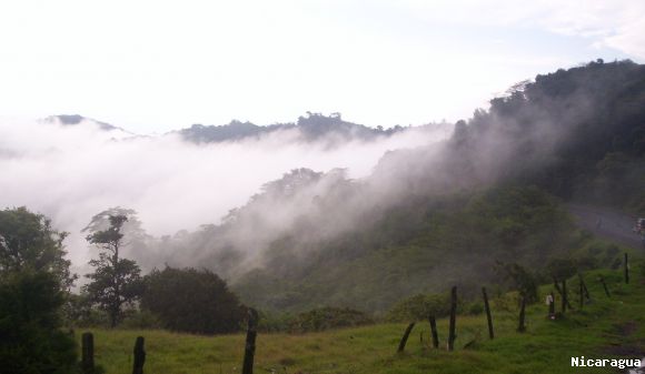 Bruma en la montaña