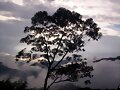 Amanecer de la monta&ntilde;a
