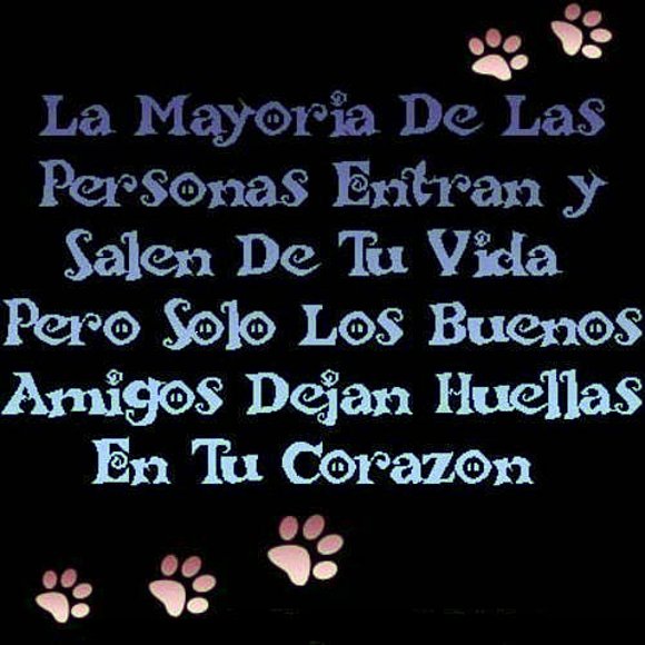 Los amigos...