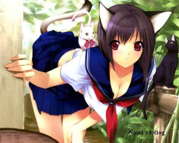 LINDA GATITA ^^