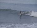 Surfeando