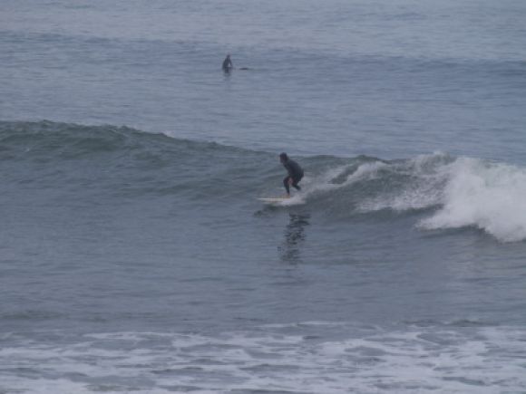 Surfeando