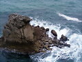 Acantilados de Llanes