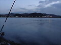 Zeluan (Avil&eacute;s)