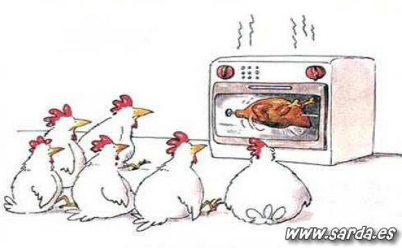 pelicula de miedo "pollo asado"