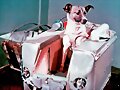 LAIKA