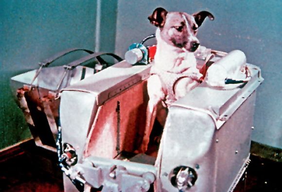 LAIKA