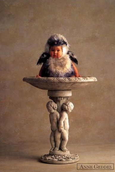 PAJARITO GORDITO...