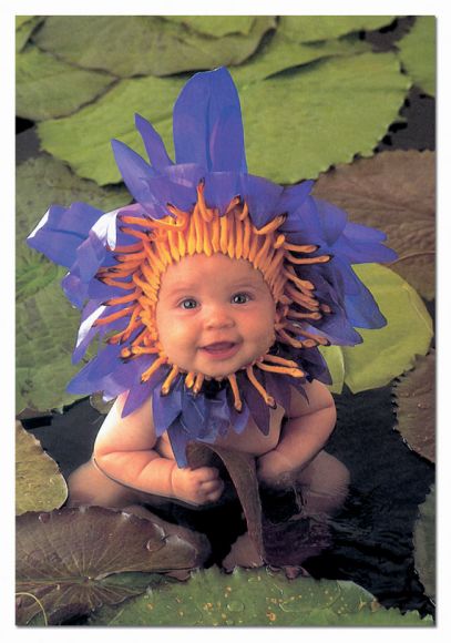 FLOR..