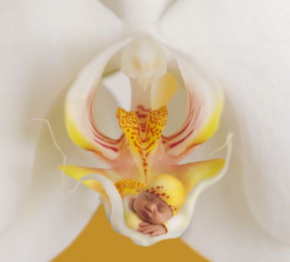 FLORECILLA...