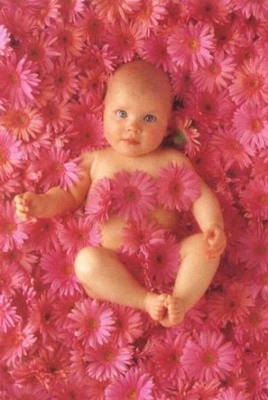 ENTRE FLORES