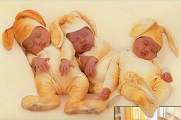 CONEJITOS DORMILONES...