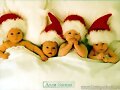 MINI SANTAS...