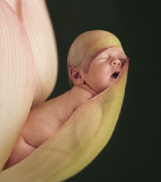 BEBE PLANTA DURMIENDO...