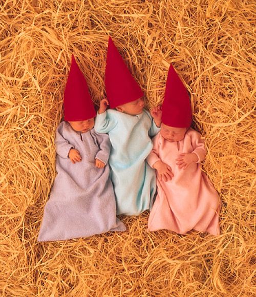 GNOMITOS...
