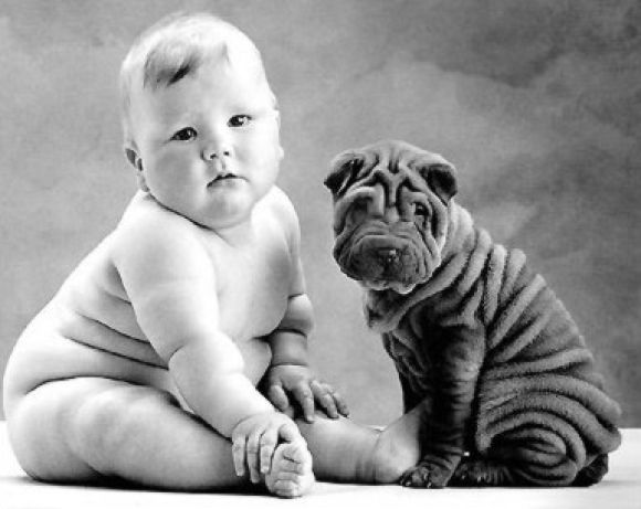 BEBE Y PERRITO...