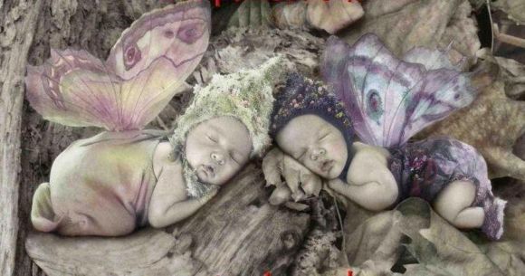 BEBES HADITAS...