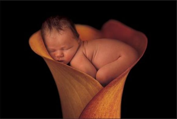 BEBE DORMIDO EN UNA FLOR...