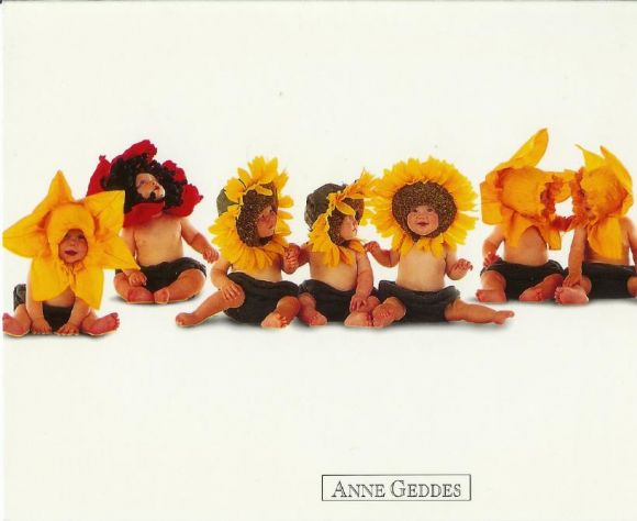 BEBES GIRASOLES Y AMAPOLA...