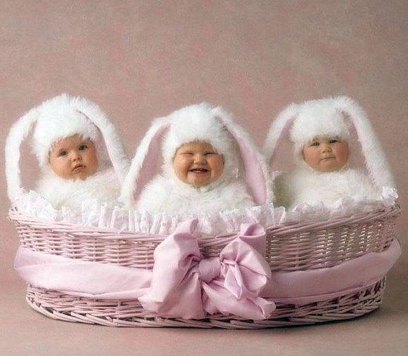 BEBÉS CONEJITOS...