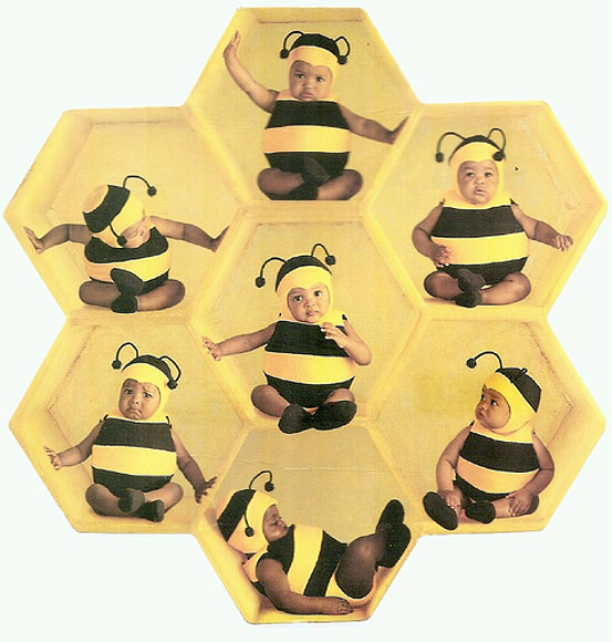 BEBES ABEJITAS...