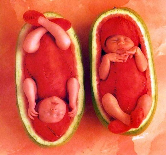 bebes aguacates...
