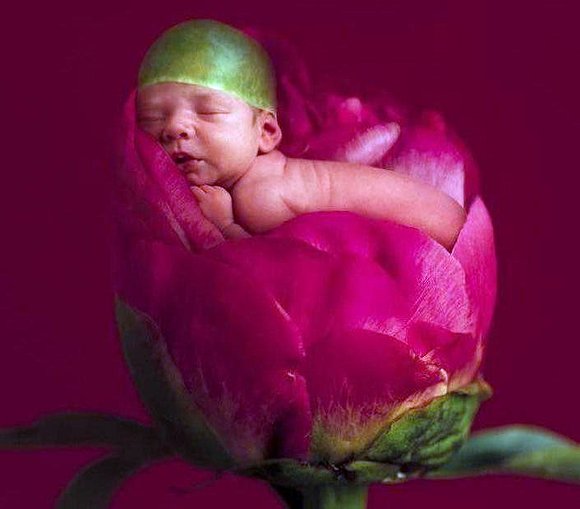 BEBE ADENTRO DE UNA FLOR...