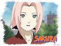sakura-chan
