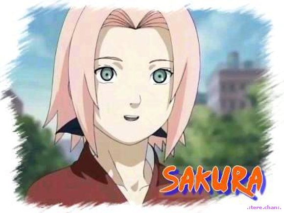 sakura-chan