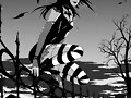 Yumi Cullen ~ rebel vampire girl