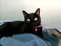 Nuka