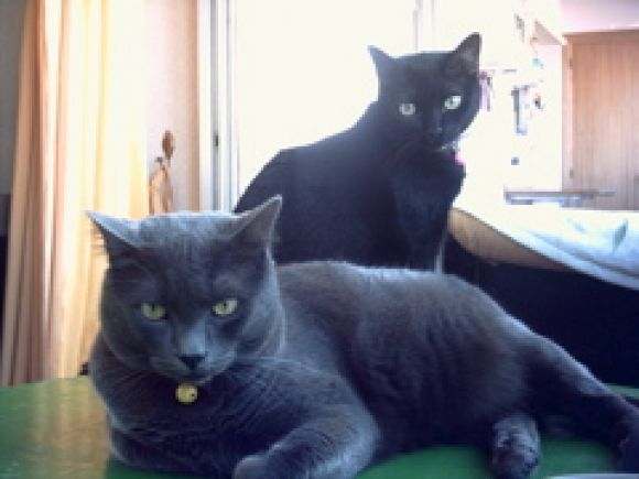 hermanos1