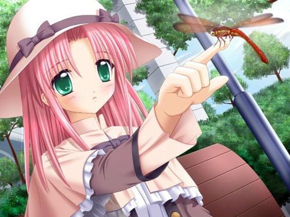 anime