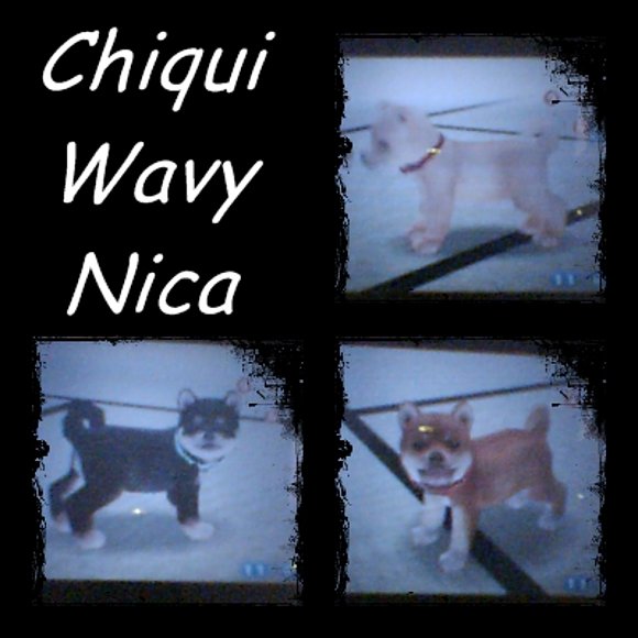 Mis perros de nintendog^^