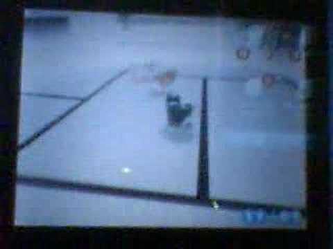nintedog video