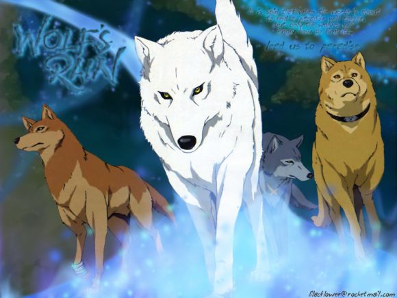 wolfs rain