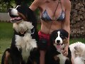 Polly, Bruno y yo