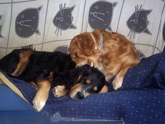 Cora siempre ha cuidado de su hermano