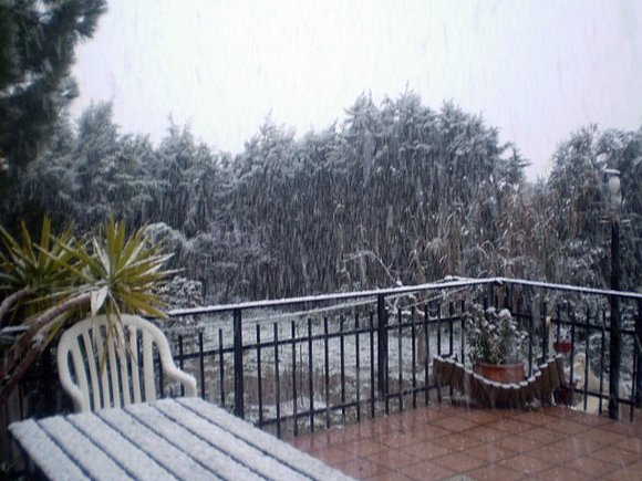 6 de Febrero 2009