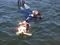 Rescate en vivo