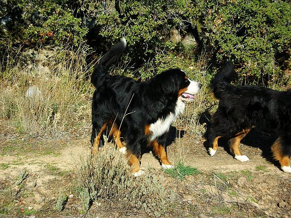 Bruno, 2.5 años y el cuerpo de su hermana Jara
