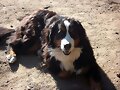 Jara, 2.5 a&ntilde;os
