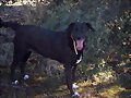 Tundra, 8 a&ntilde;os
