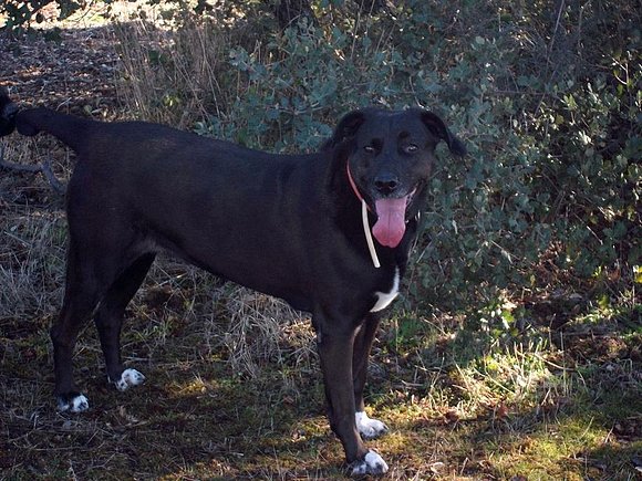 Tundra, 8 años
